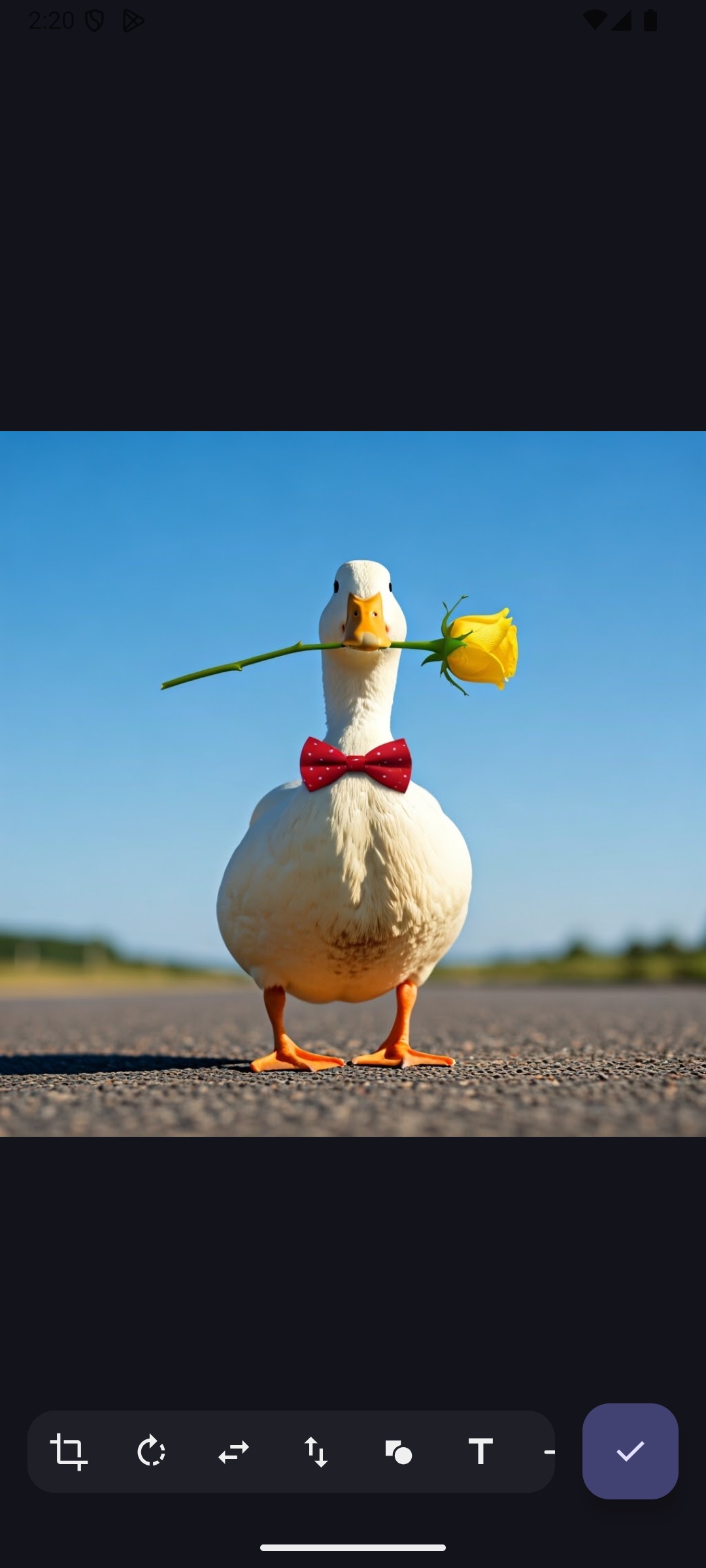 Image editor screenshot